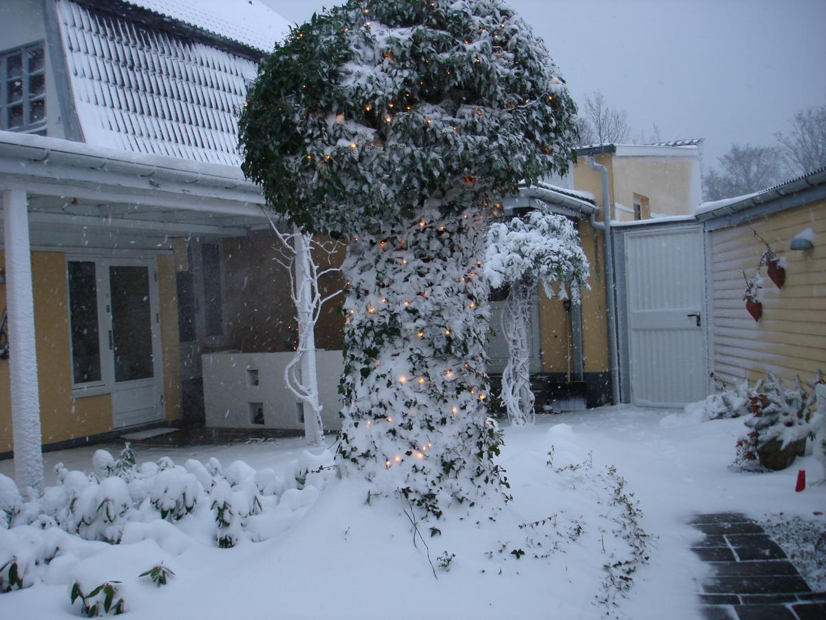 Strandidyl Bed And Breakfast Kelstrup Extérieur photo